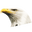 Healthy America Colombia logo